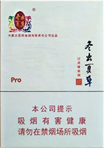 冬虫夏草(中支和润)